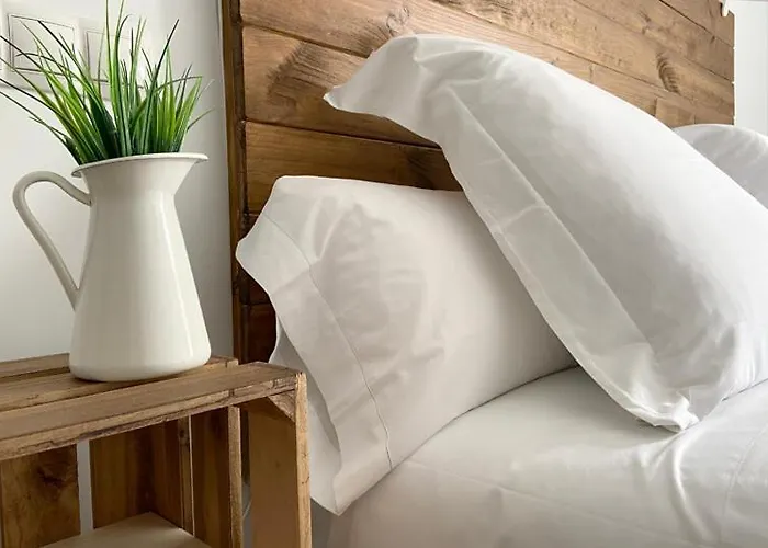 Bed & Breakfast 7 Kale